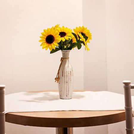 Diac Apartment Center Braşov Eksteriør billede