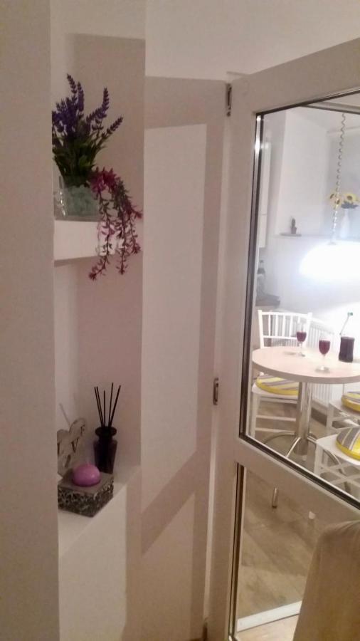 Diac Apartment Center Braşov Eksteriør billede